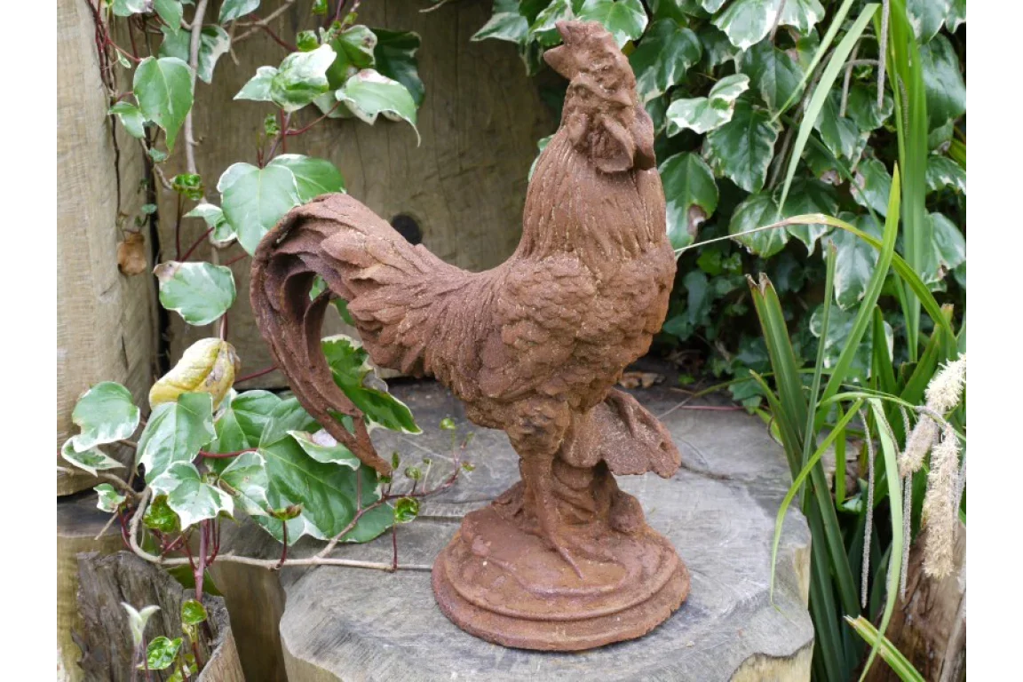 Cockerel (Sm/Rusty) - 2389