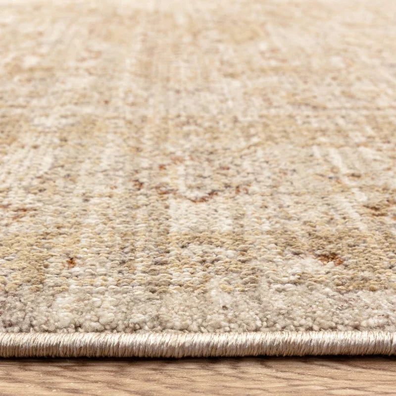 Heriz Serapi Beige Rug - Image 4