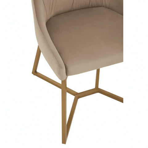 Valencia Mink Velvet Dining Chair