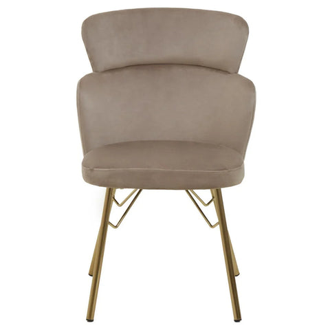 Luxe Velvet Dining Chair
